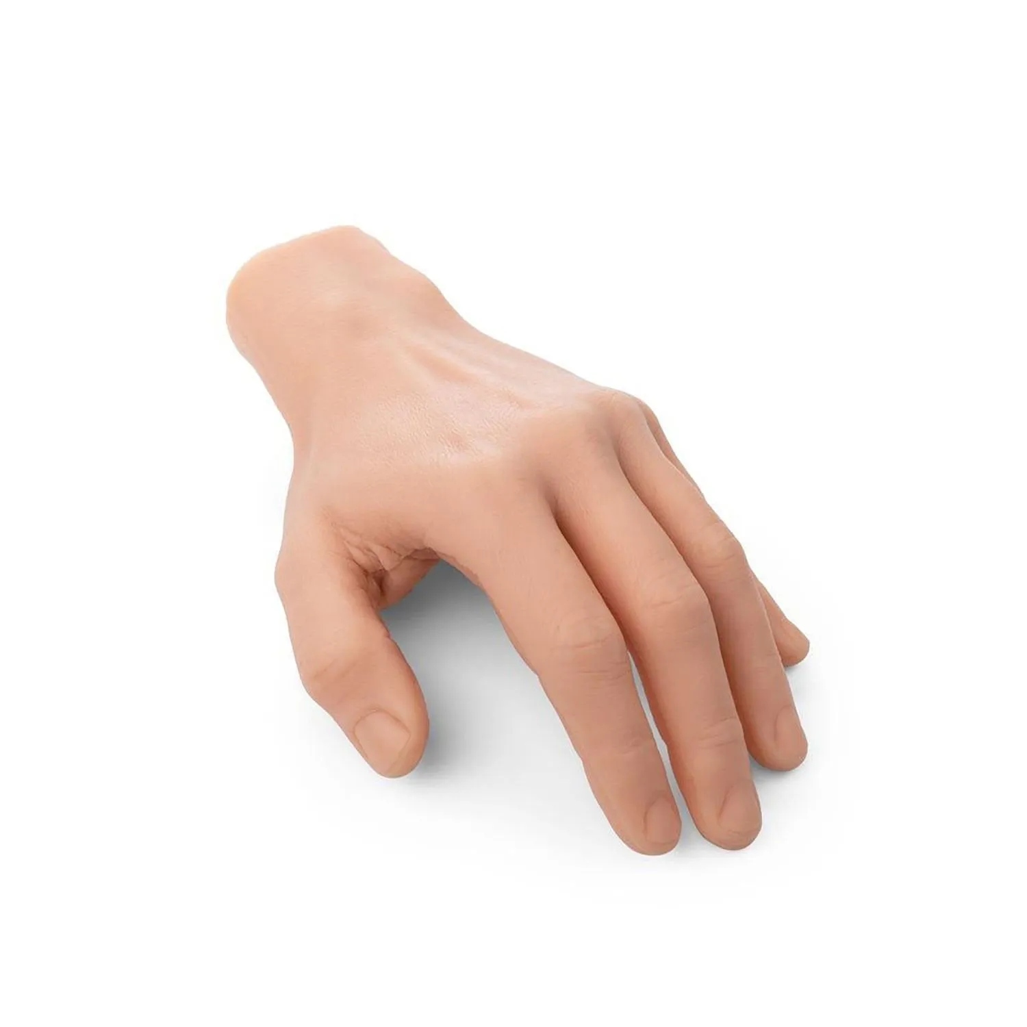 A Pound of Flesh Hand with Wrist