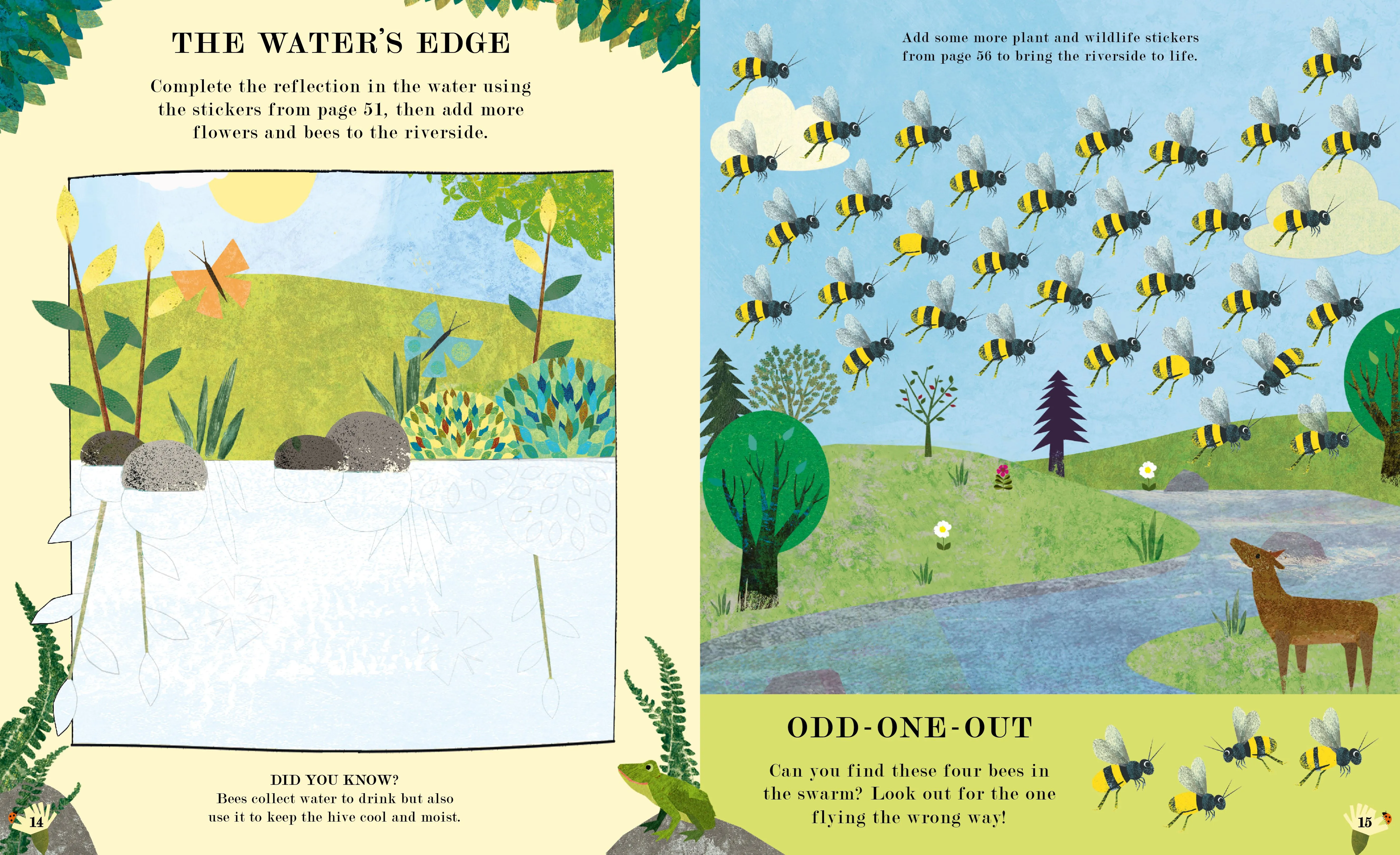 Book - Bee: Natures Tiny Miracle Activity Book