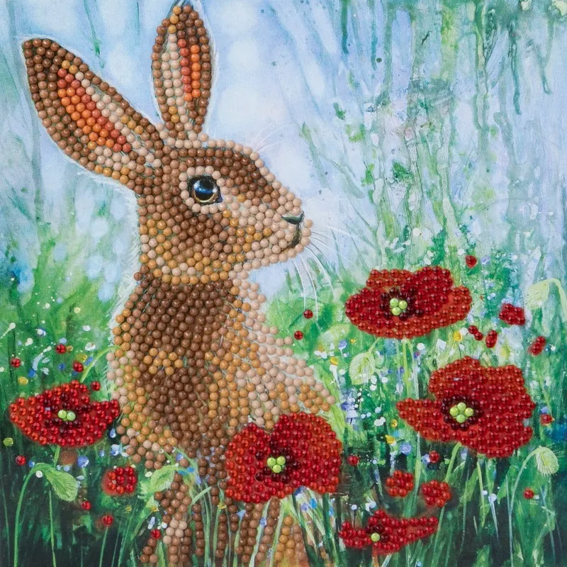 CCK-A101: "Wild Poppies and the Hare" 18x18cm Crystal Art Card