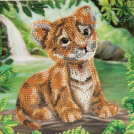 CCK-SS2023SET: "Into the wild" SS23 18x18cm Crystal Art Card Set of 6