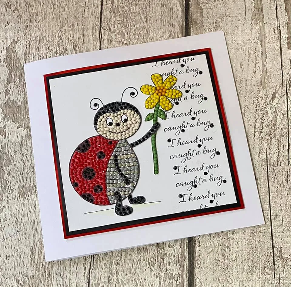 CCST24: Craft Buddy Love Bug Ladybird Crystal Art A6 Stamp Set