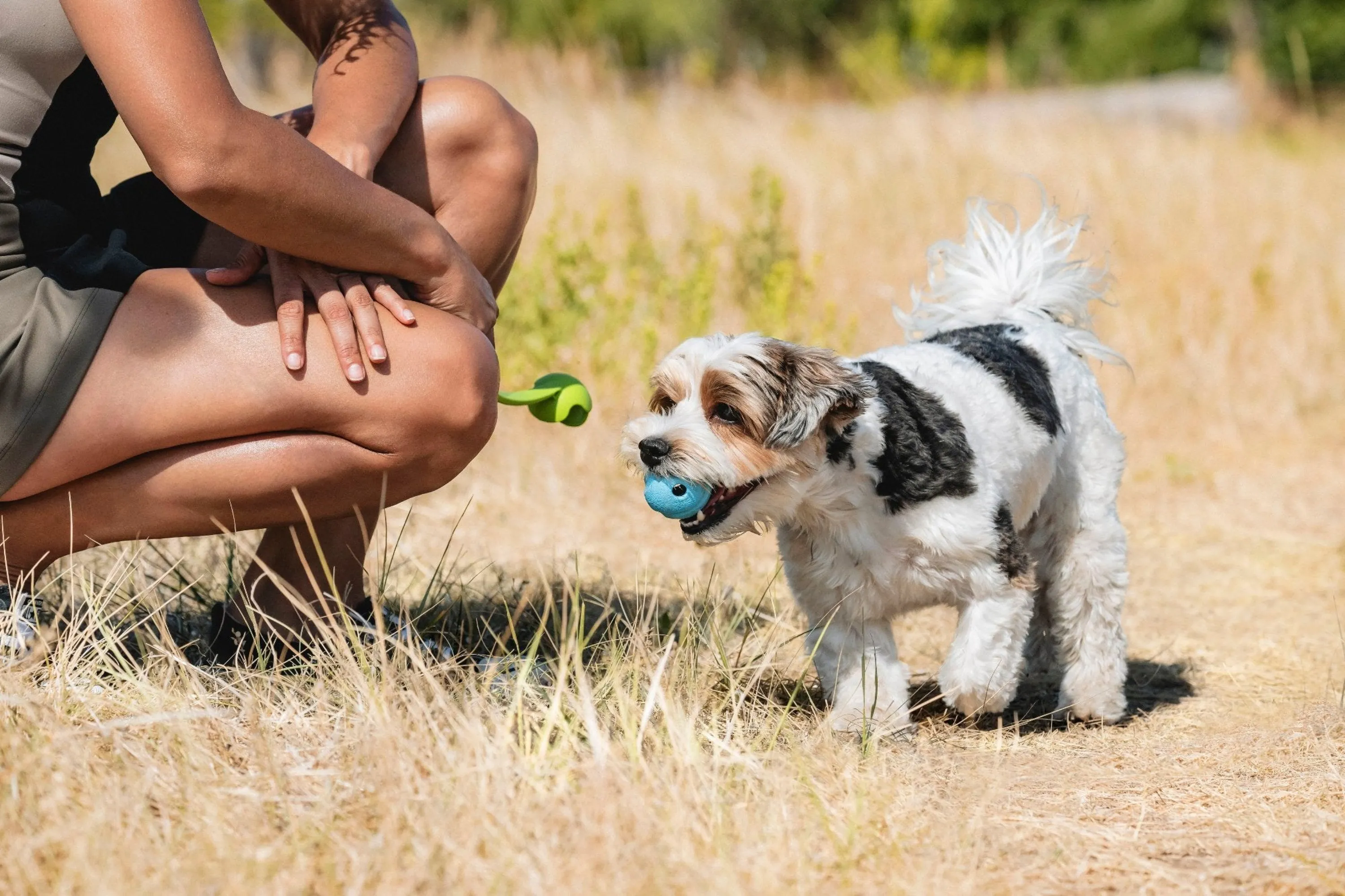 Chuckit! The Whistler Dog Toy