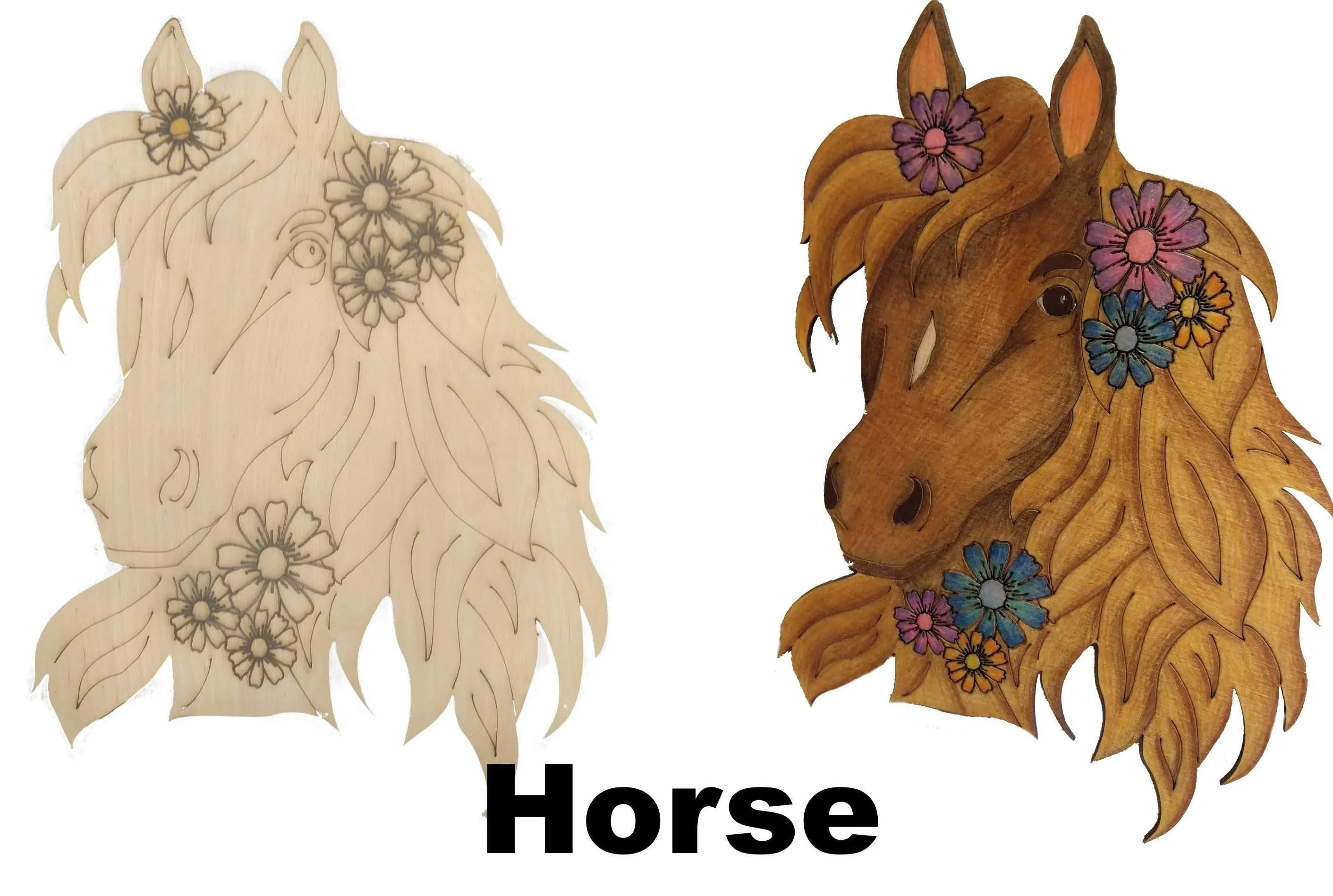 DIY -  Adult Coloring - Horse