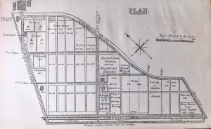 (Fruit) Duke of Bedford & Spencer U. Pickering. Second Report on the Working and Results of the Woburn Experimental Fruit Farm.