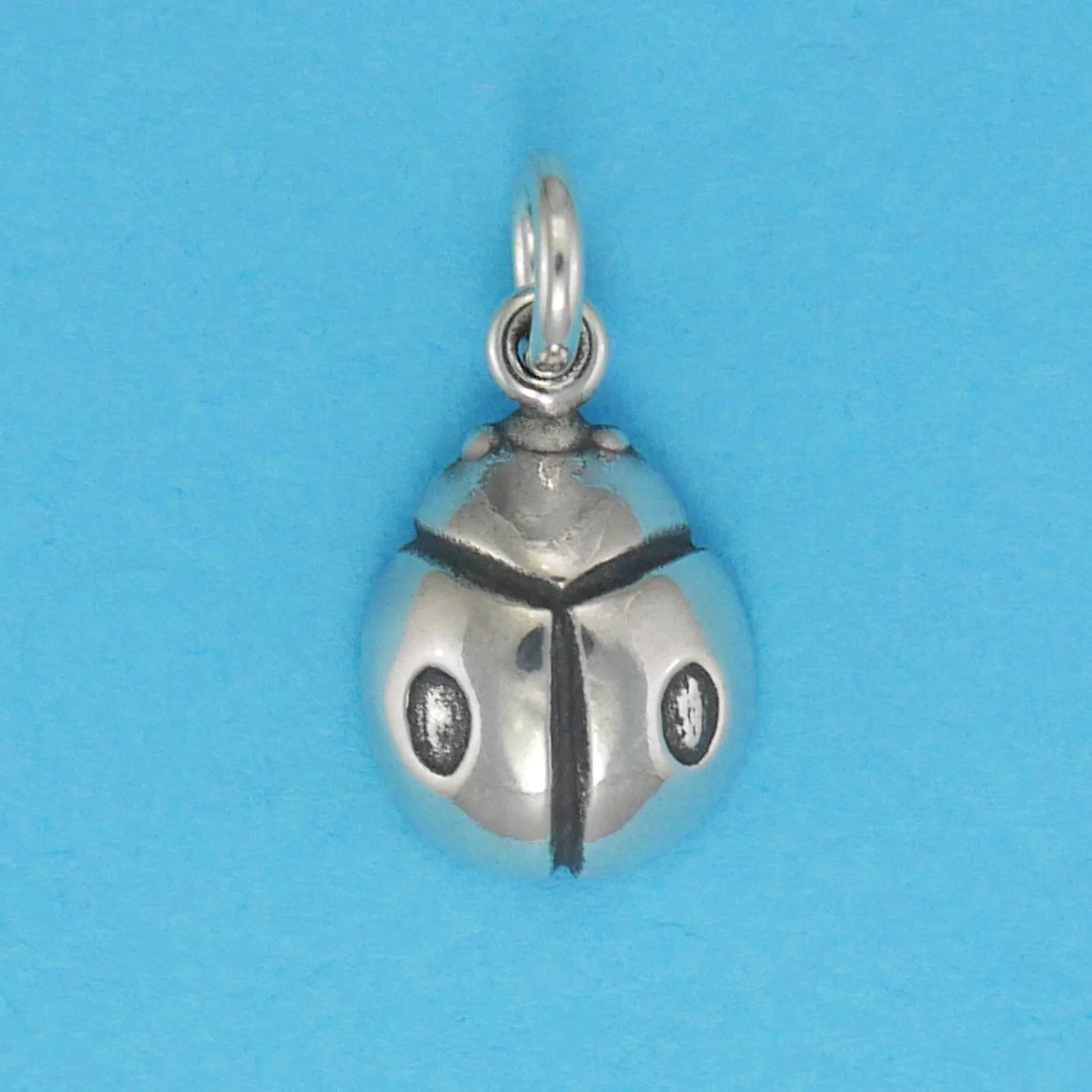 Lady Bug Charm