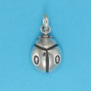 Lady Bug Charm