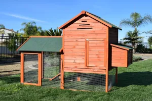 Raised Wooden Chicken Coop