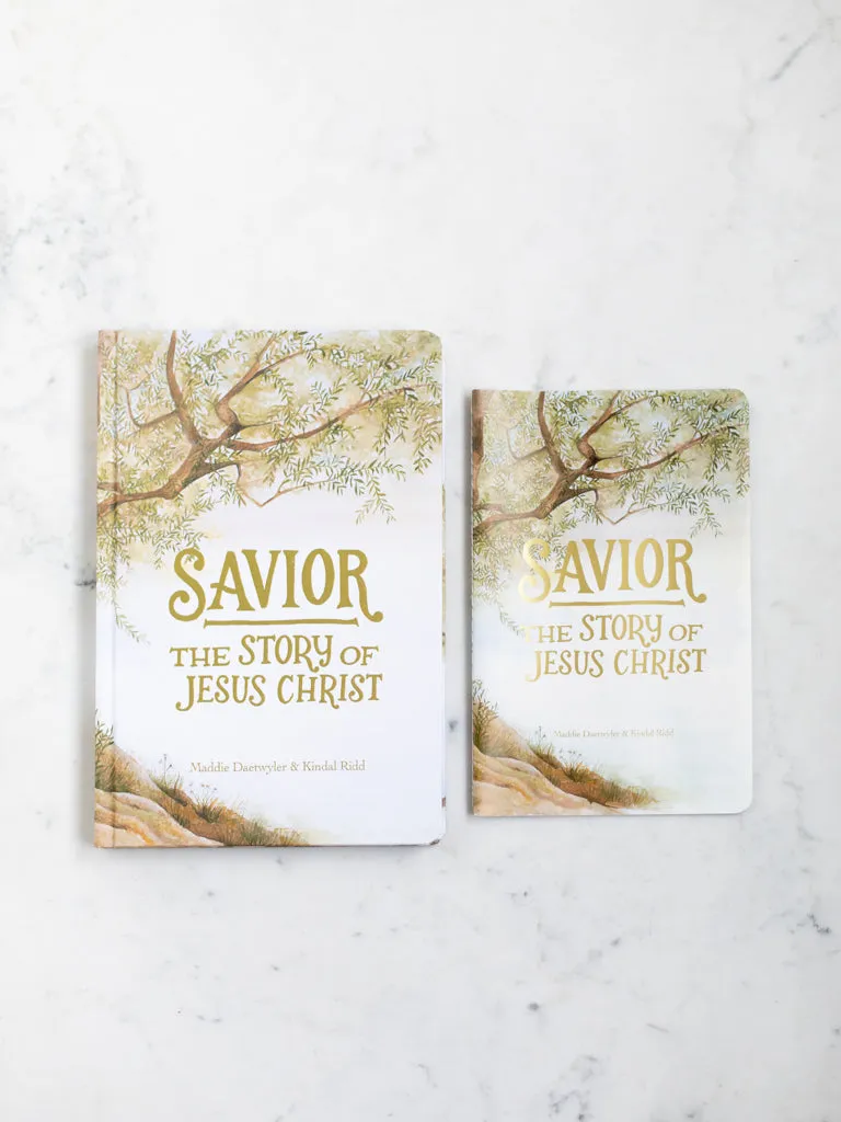 Savior: The Story of Jesus Christ