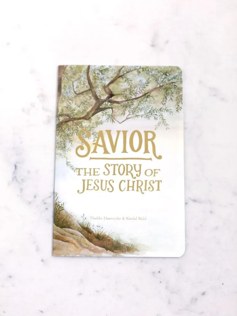 Savior: The Story of Jesus Christ