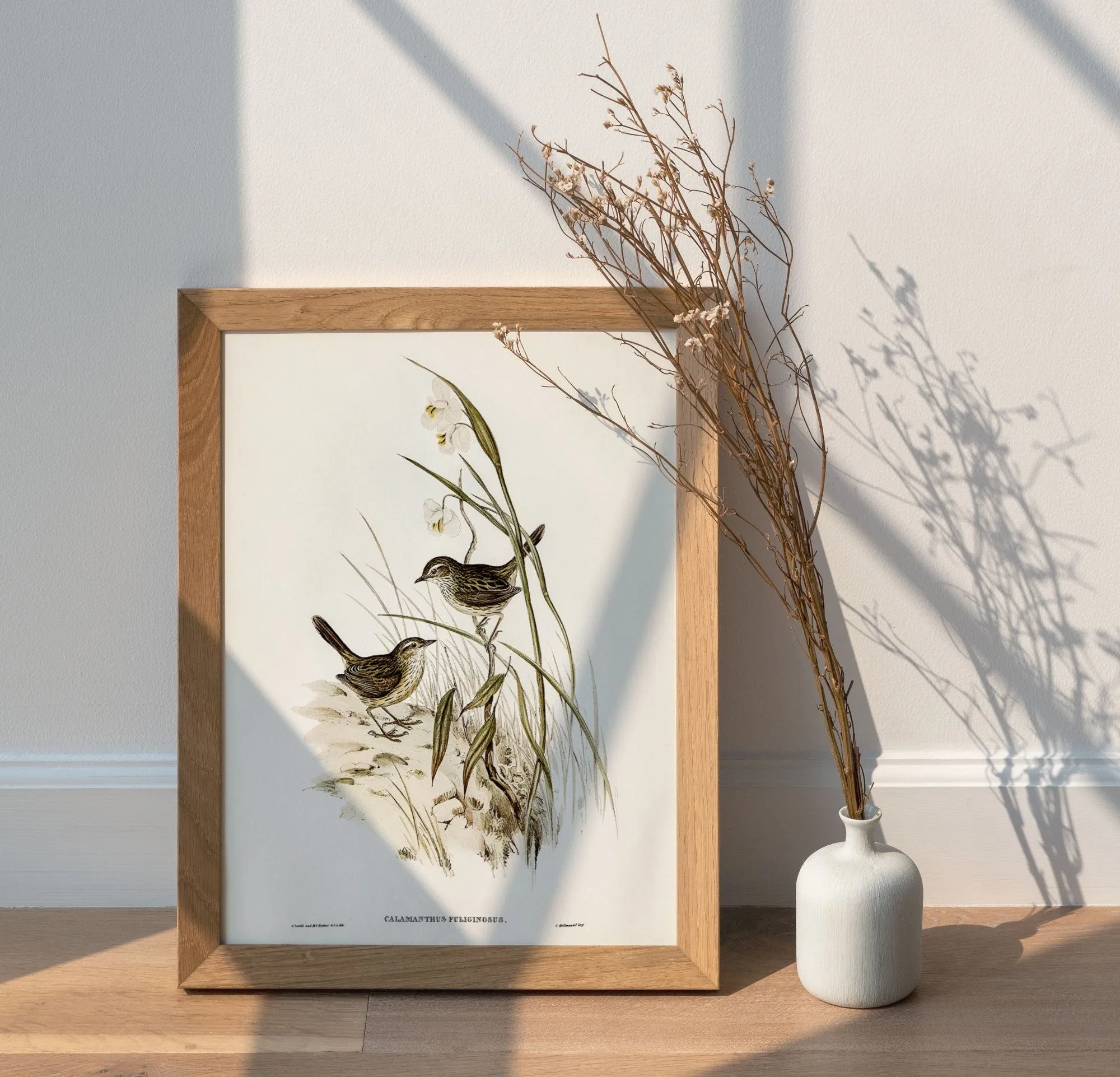 Vintage Bird Wall Art Print