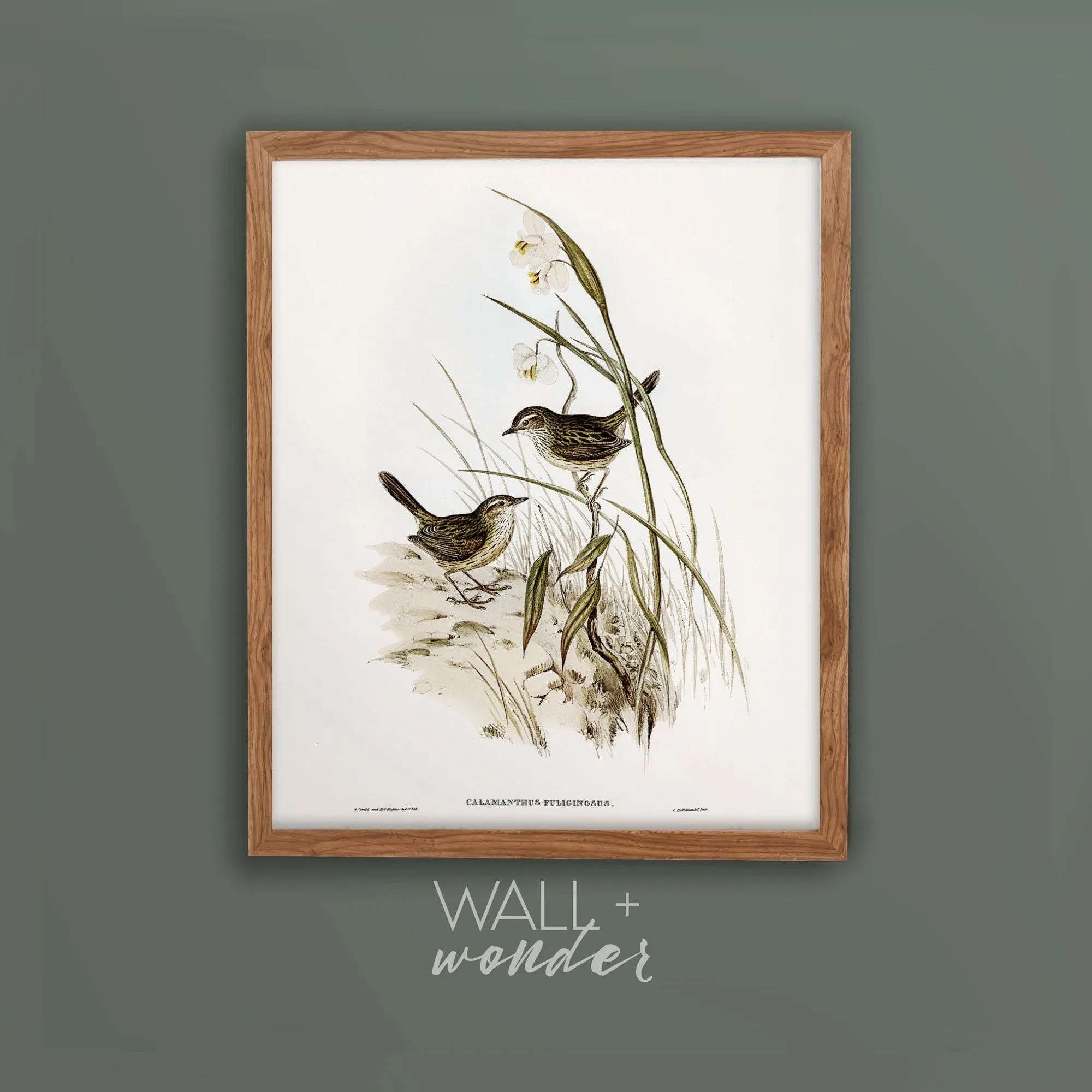 Vintage Bird Wall Art Print