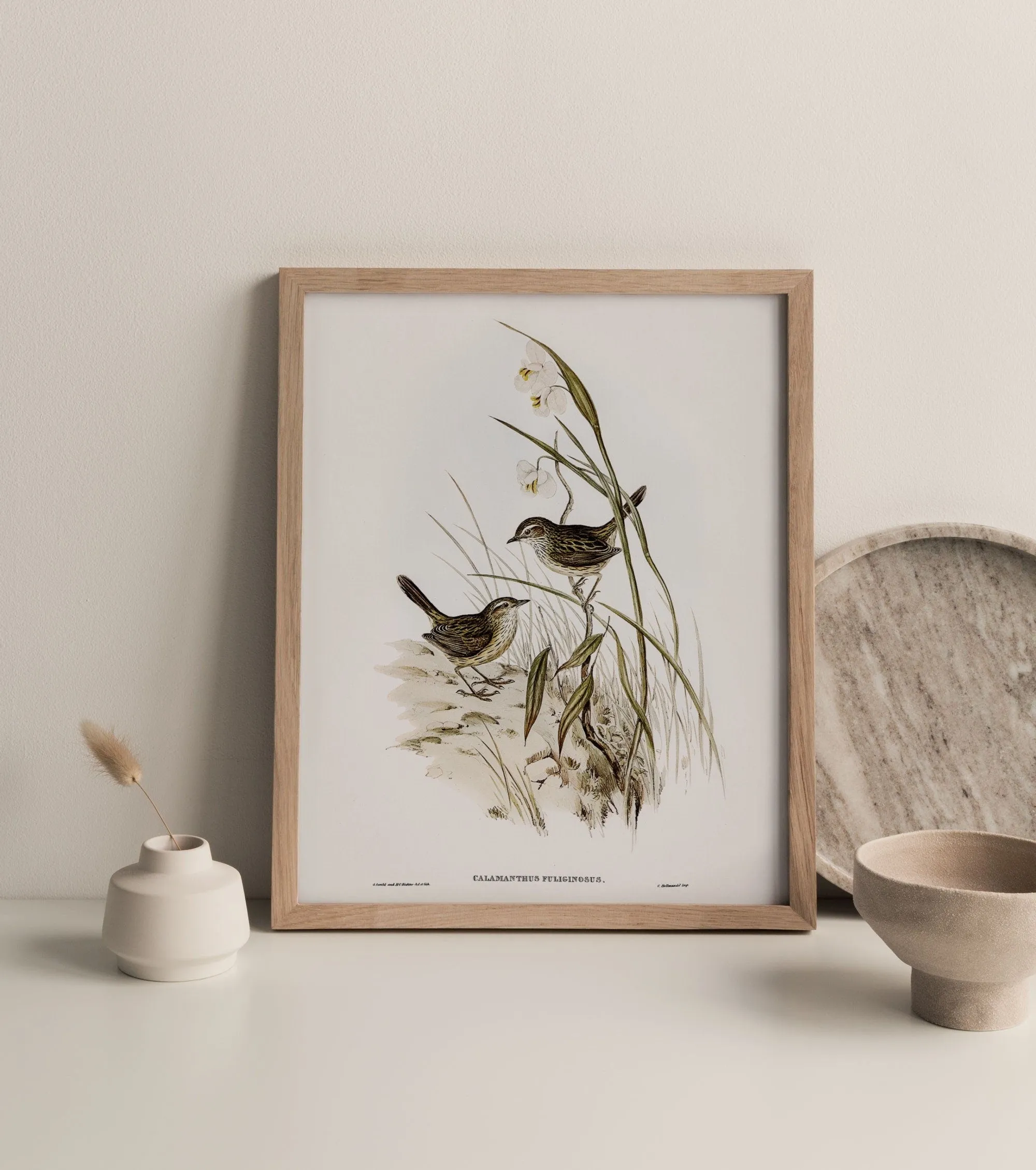 Vintage Bird Wall Art Print